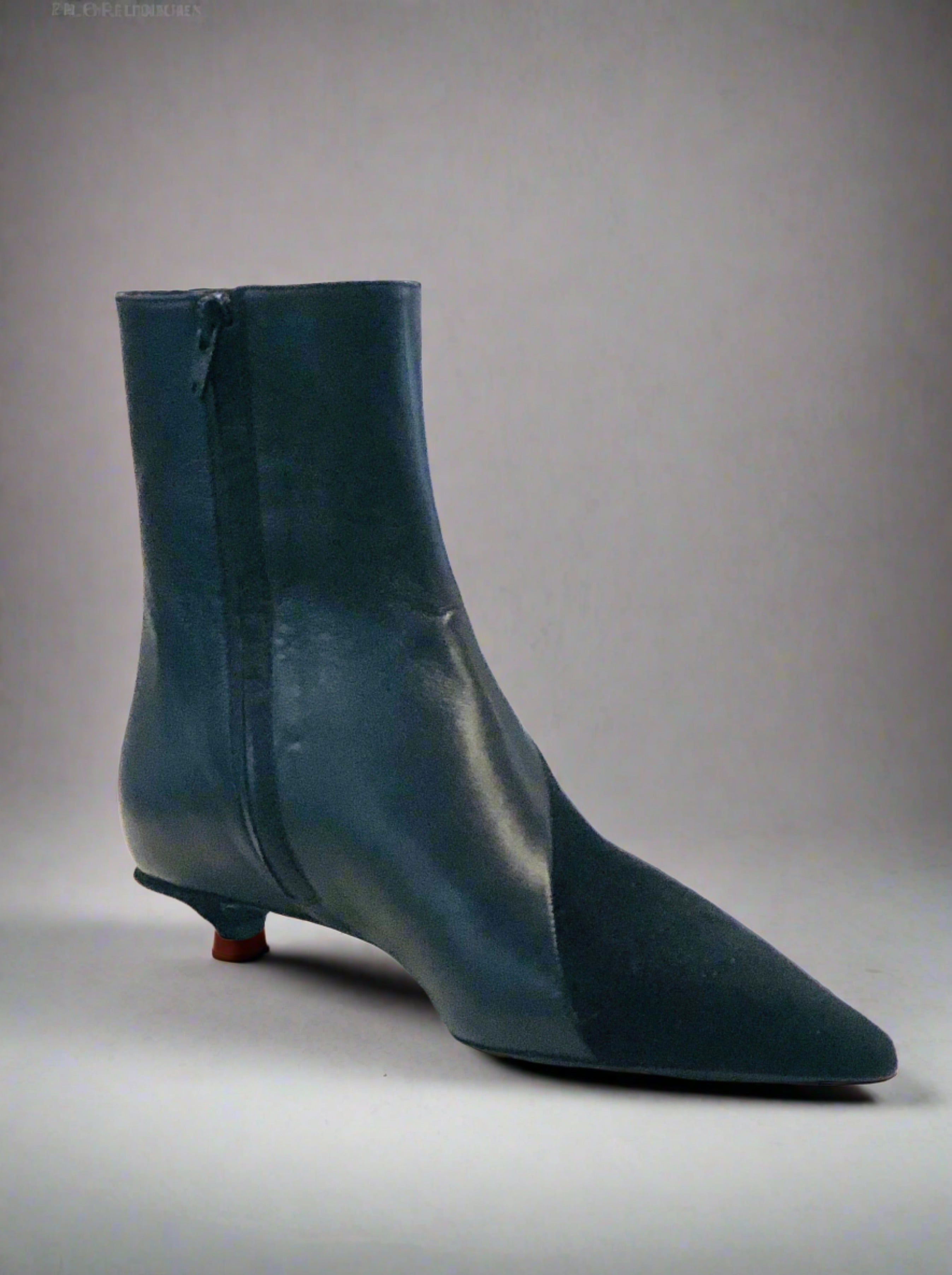 Proenza Schouler Kitten Heel Boot Proenza Schouler Kitten Heel Boot