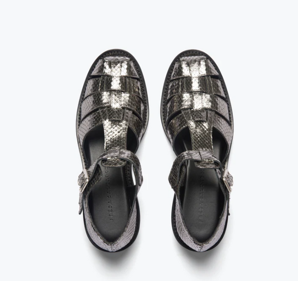 Freda Salvador Dahlia  -ANTHRACITE EMBOSSED SNAKE