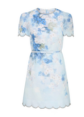 Zimmermann Crush scalloped Shift Dress- Blue Floral